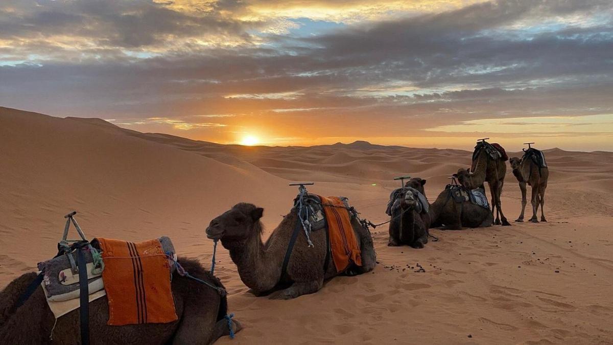 Chegaga Desert Trips Hotel M'Hamid Luaran gambar